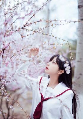 野性的青春_720在线手机播放